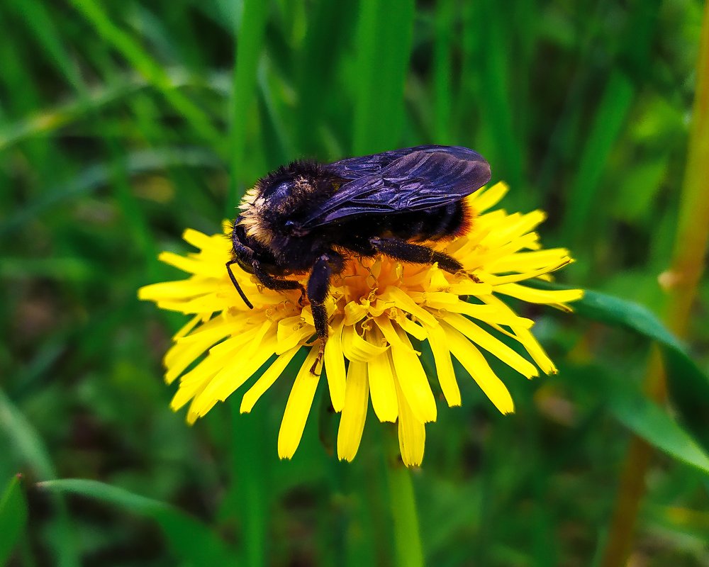 Photograph by Alekseeva Marina