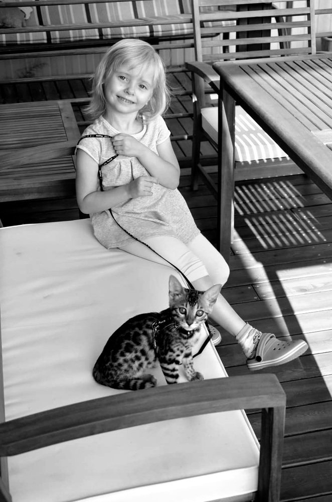 Photograph by Алексей Соболь