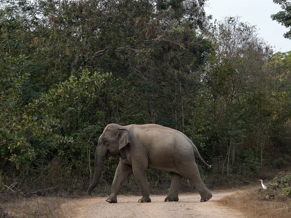 Photograph by Kirill Savinov