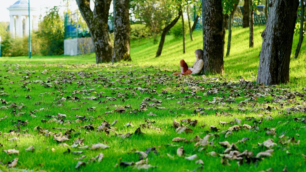 Photograph by Алексей Шевченко