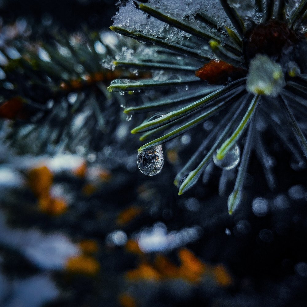 Слезы ноября