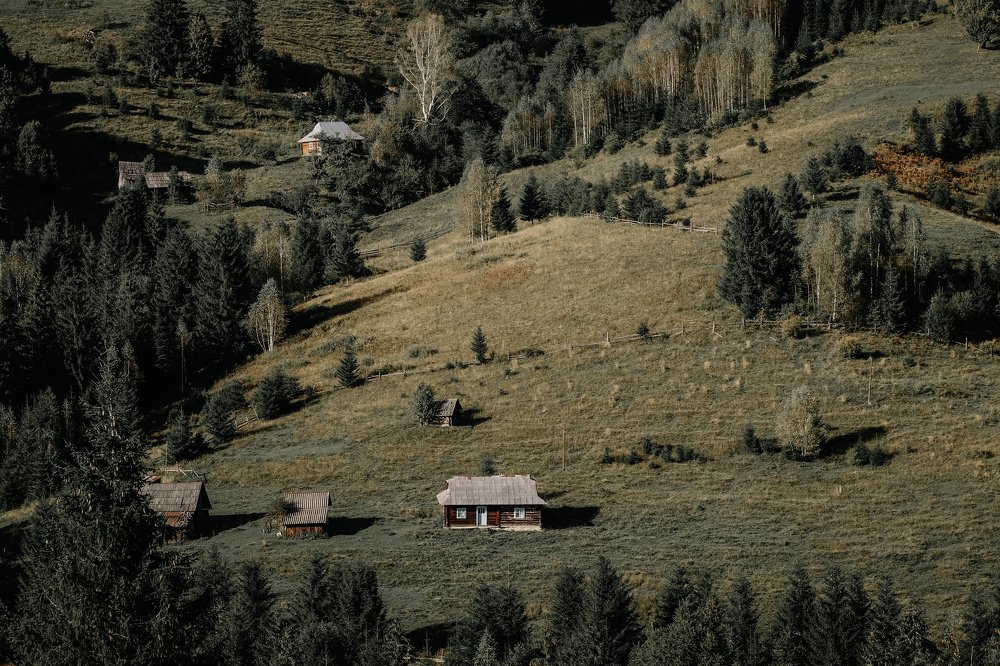 Photograph by Никита Чернов