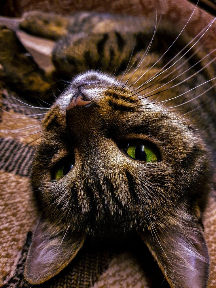 Photograph by Виктория Попкова