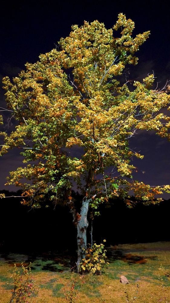 Photograph by Алексей Шевченко