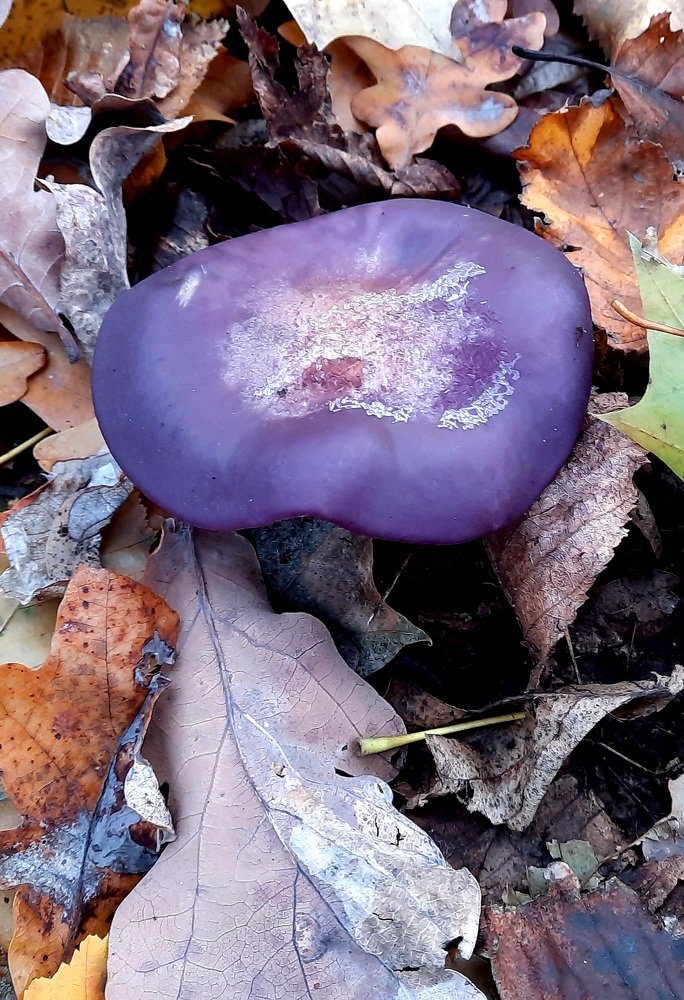 Photograph by Татьяна Исаева