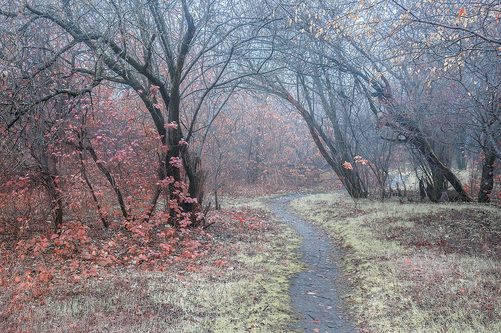 Photograph by Владимир Каюков