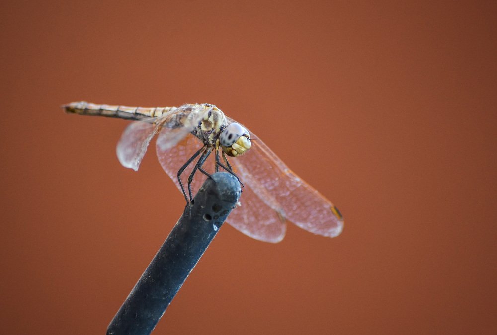 Photograph by tamem aws