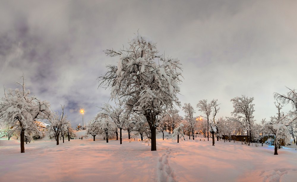 Photograph by Farshad Yazdankhah