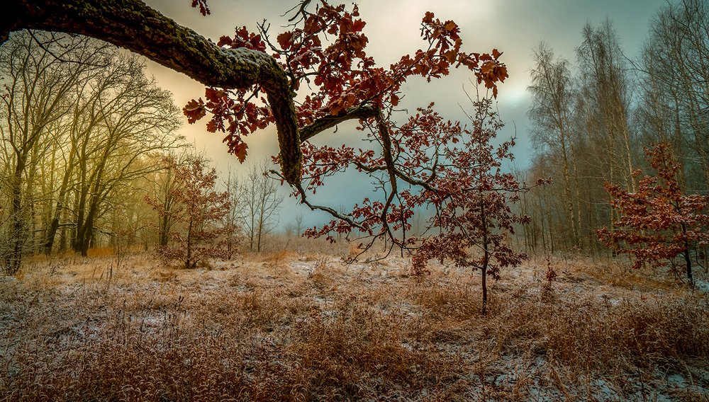 Photograph by Игорь Кляхин