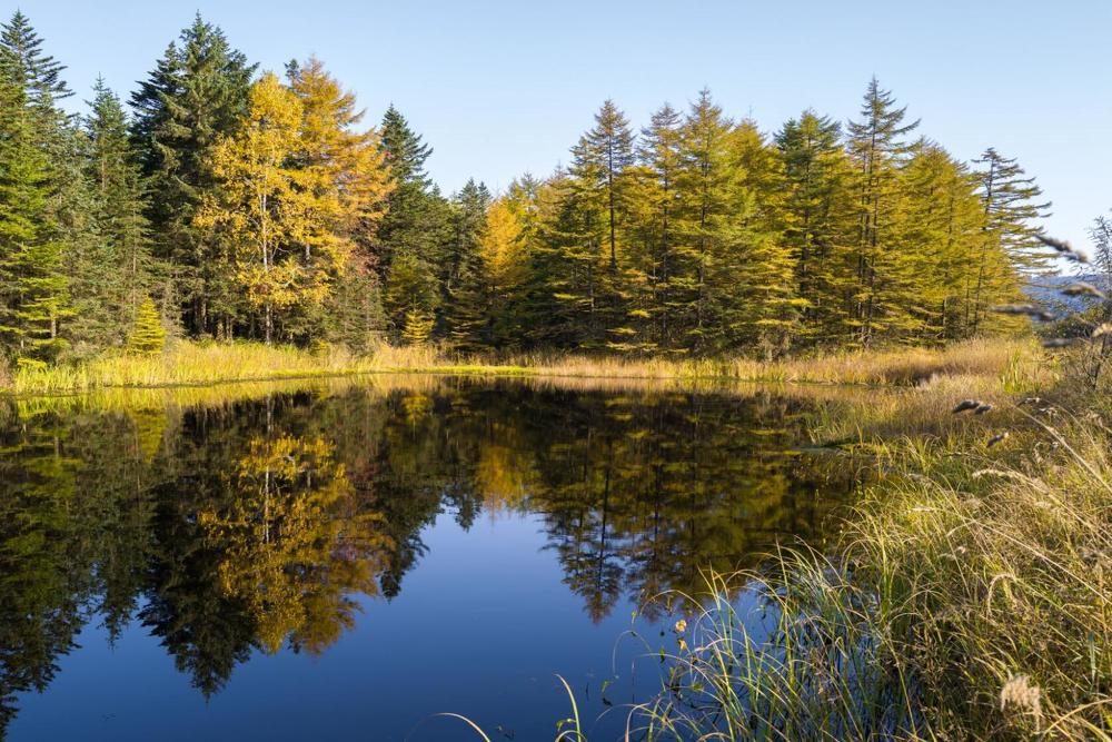 Фотография автора Денис Винарь