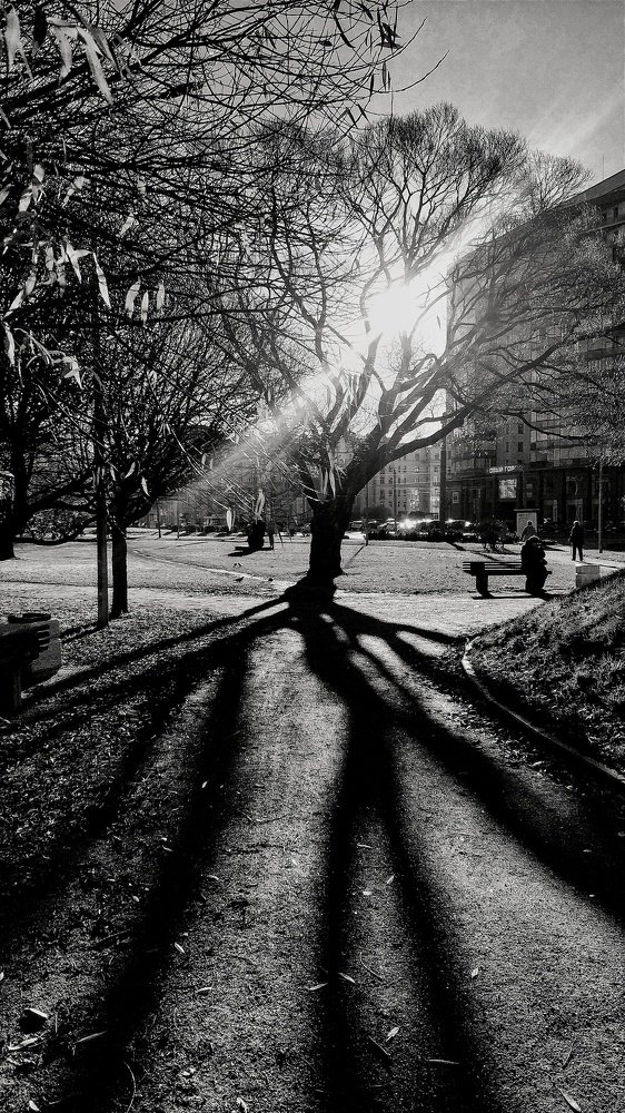 Photo #5358305