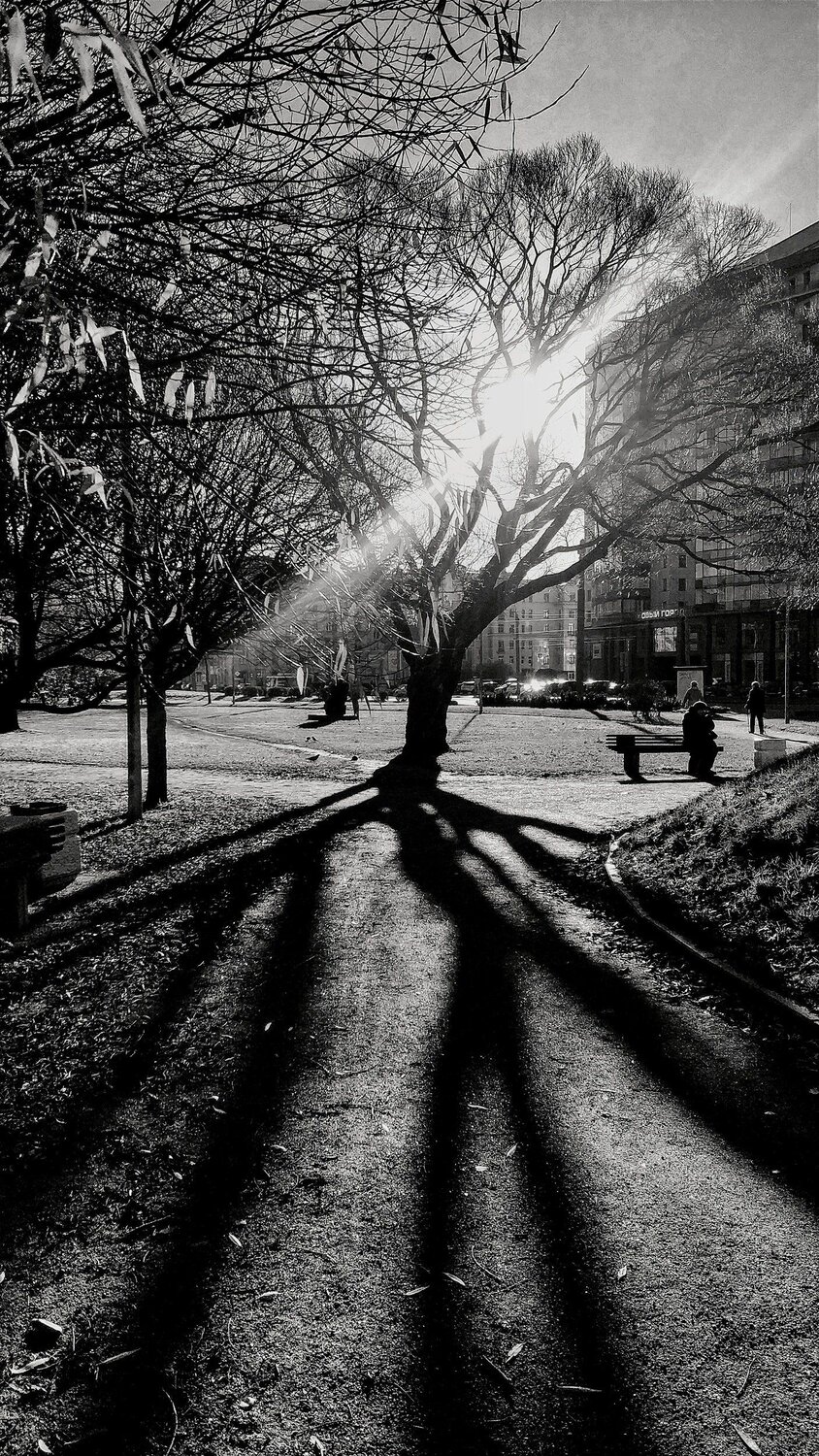 Photo #5358305