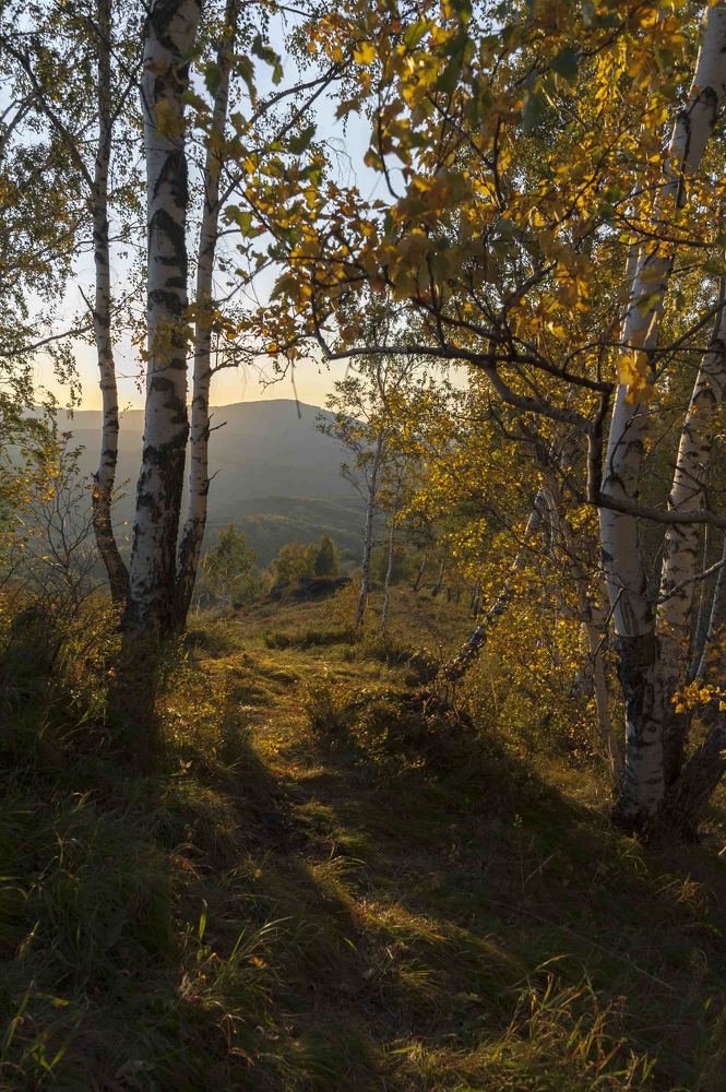 Осенний вечер...