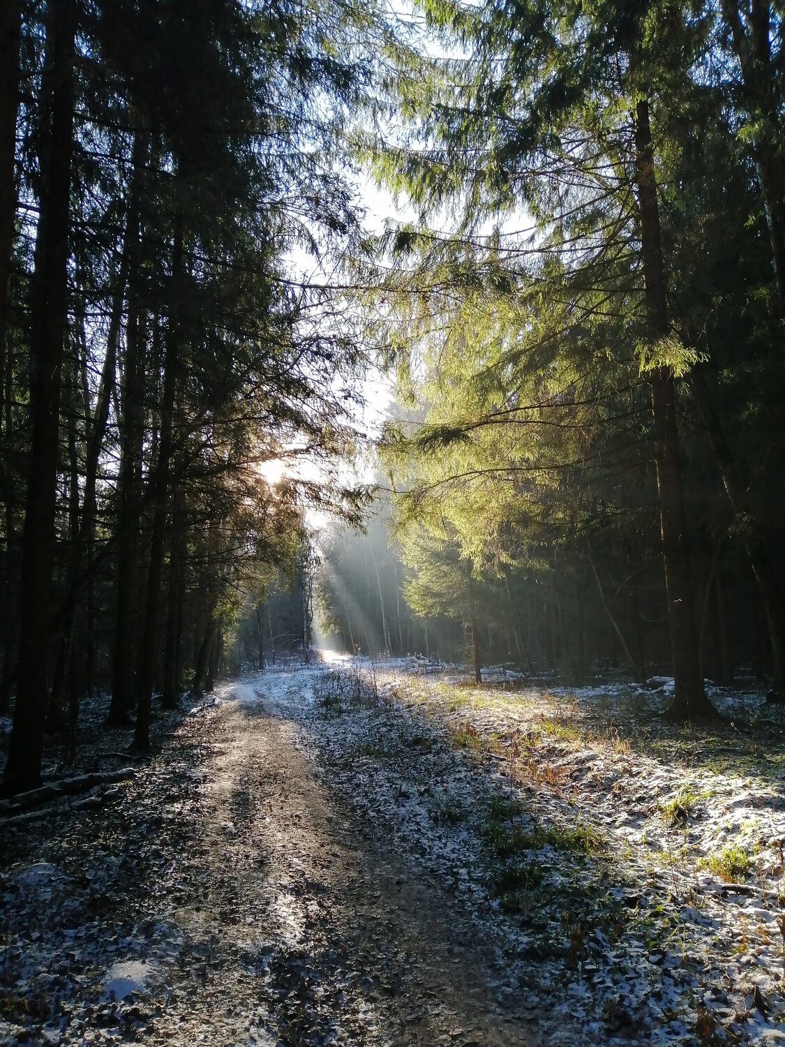 Утро в Мещерском Хуторе.