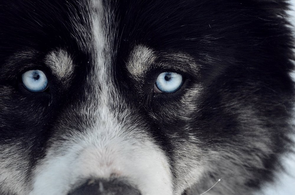 Photograph by Анастасия Тетерина