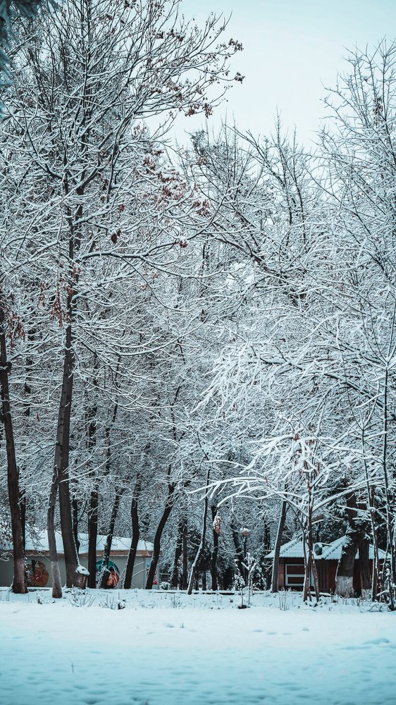 Photograph by Асилбек Юсупов