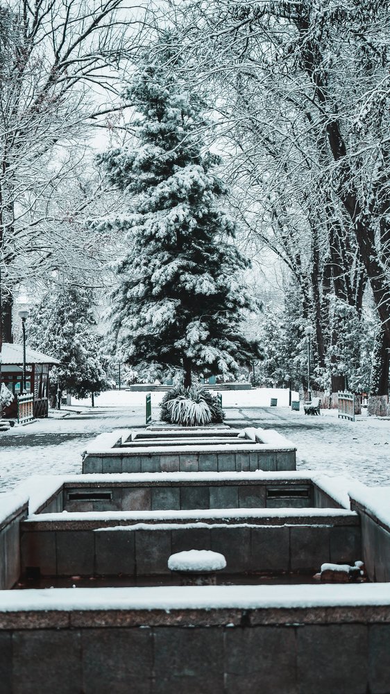 Photograph by Асилбек Юсупов