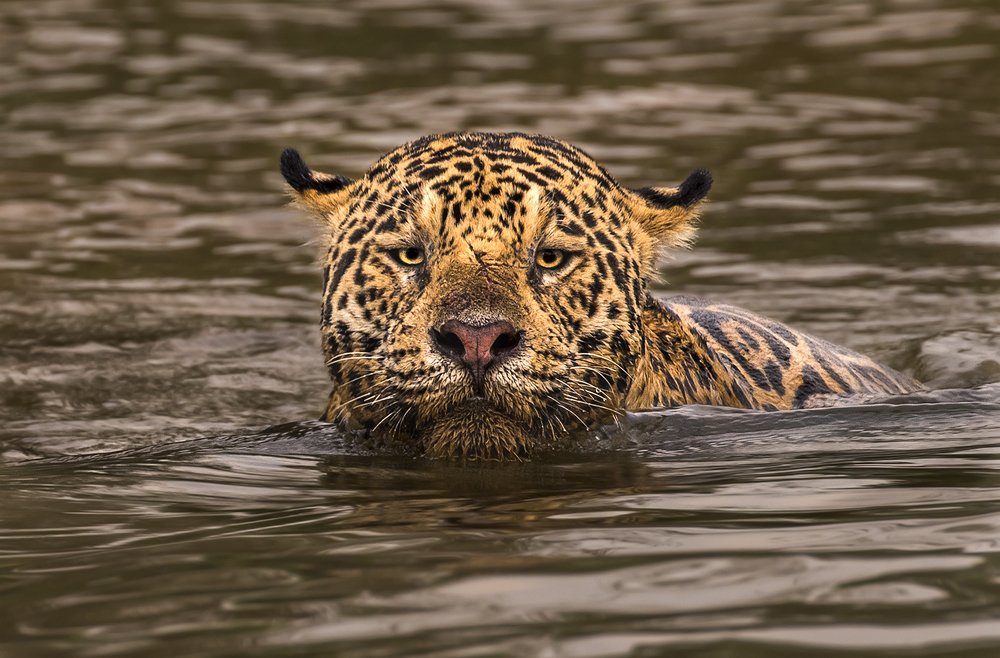 Photograph by Eduardo Di Fiore