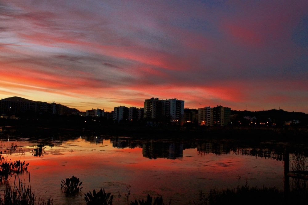 Photograph by Francisco Ferreira