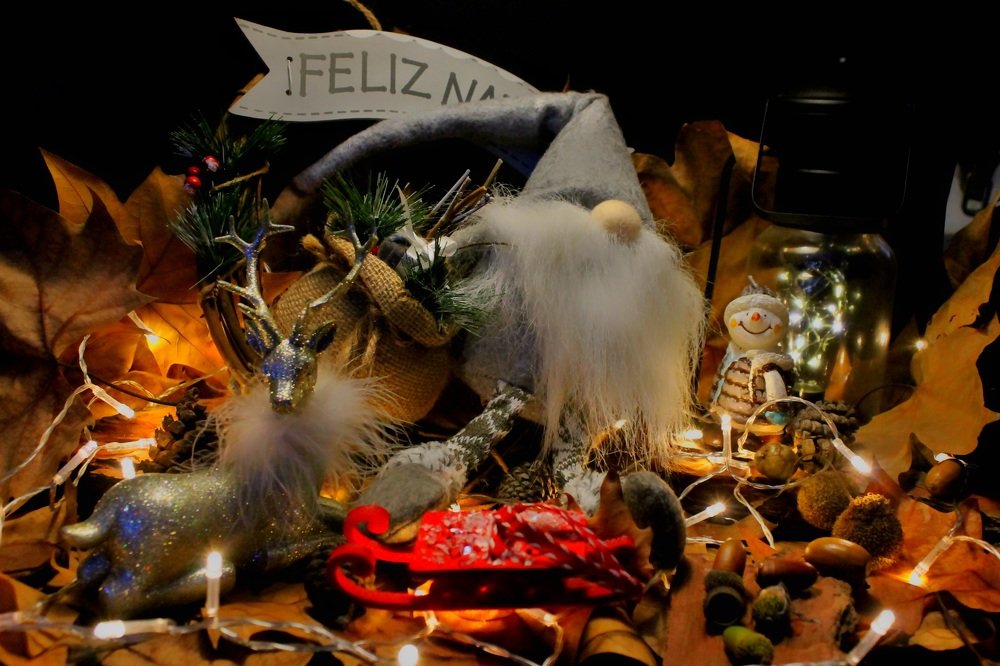 Photograph by Francisco Ferreira