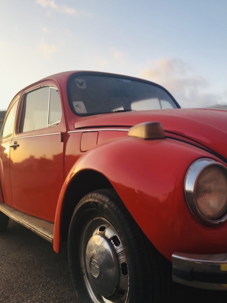 Photograph by Мария Берёзка