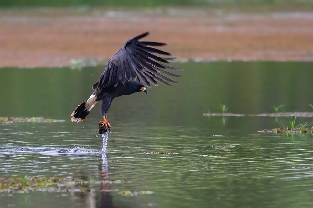 Photograph by Claudio Frateschi