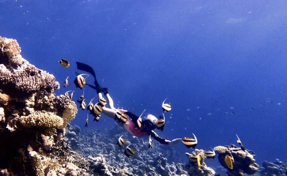 Фридайвинг