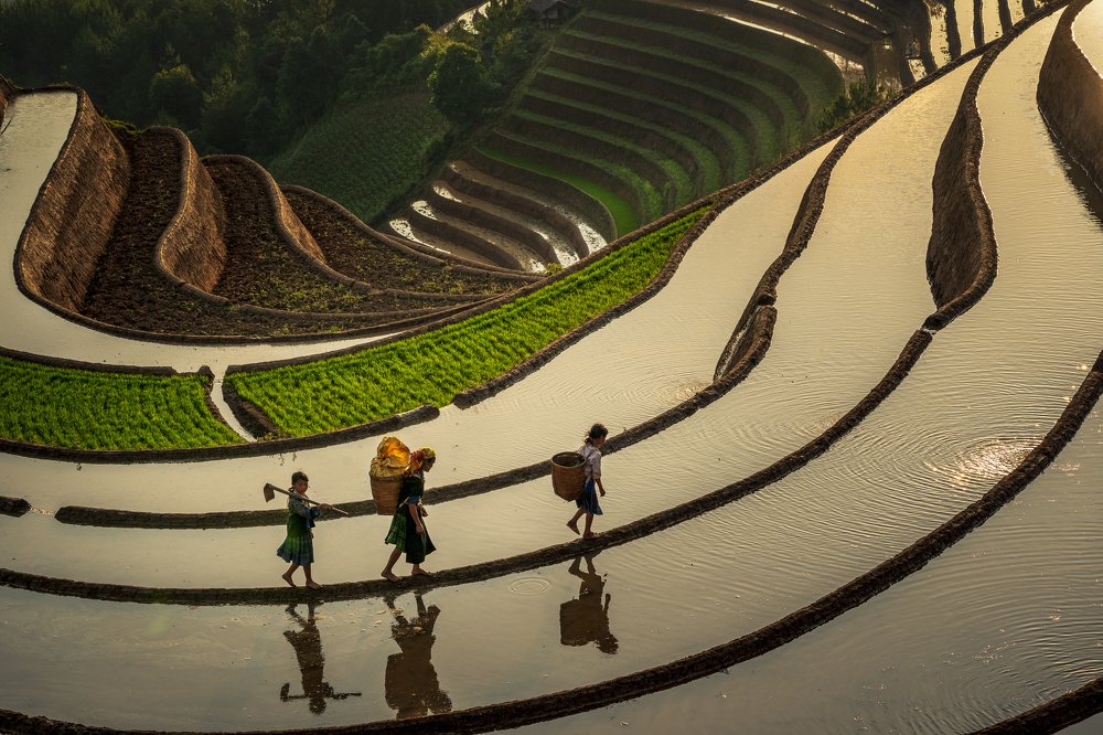 Photograph by Vu Tran