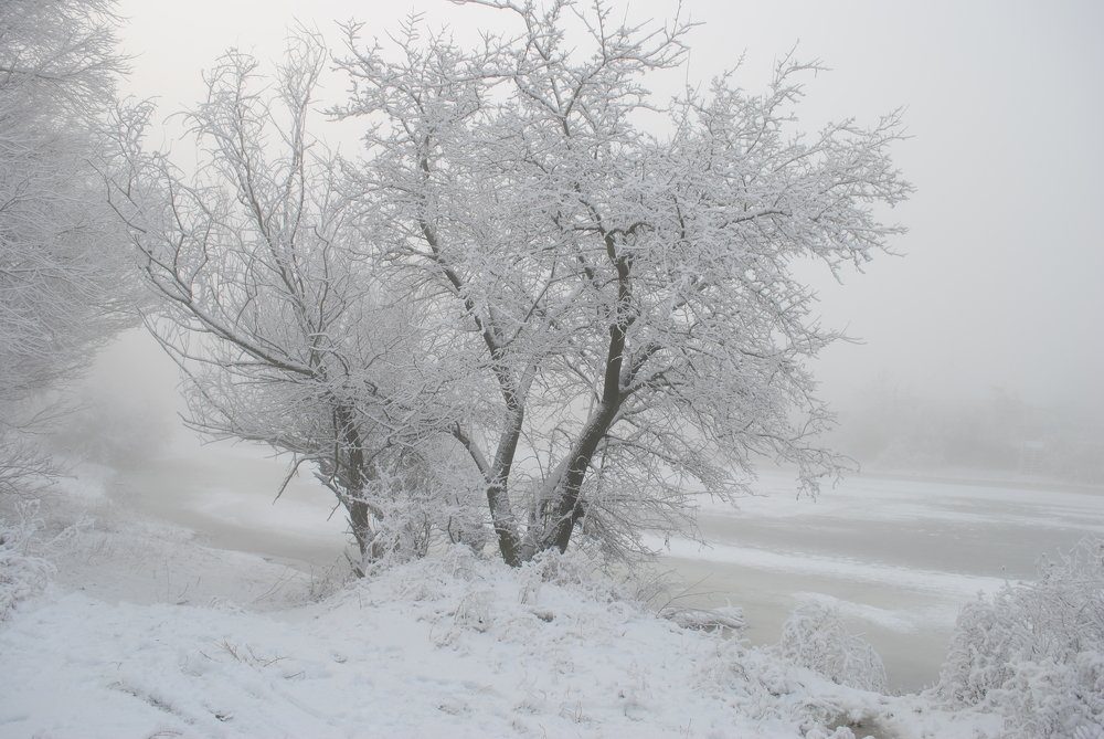 Photograph by Наталия Захарова