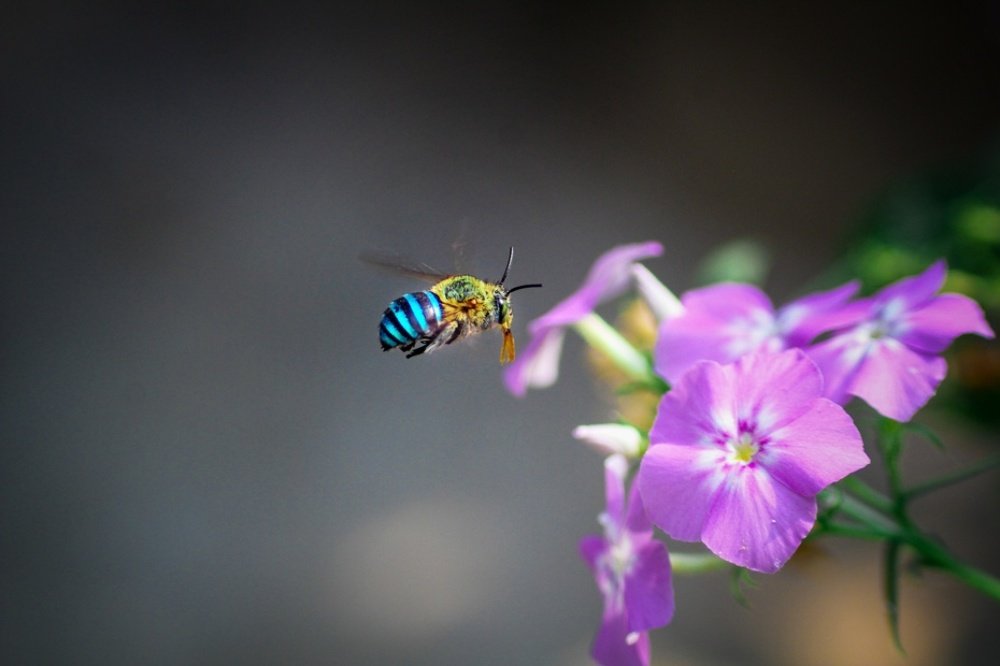 Photograph by Pushpak Kundu