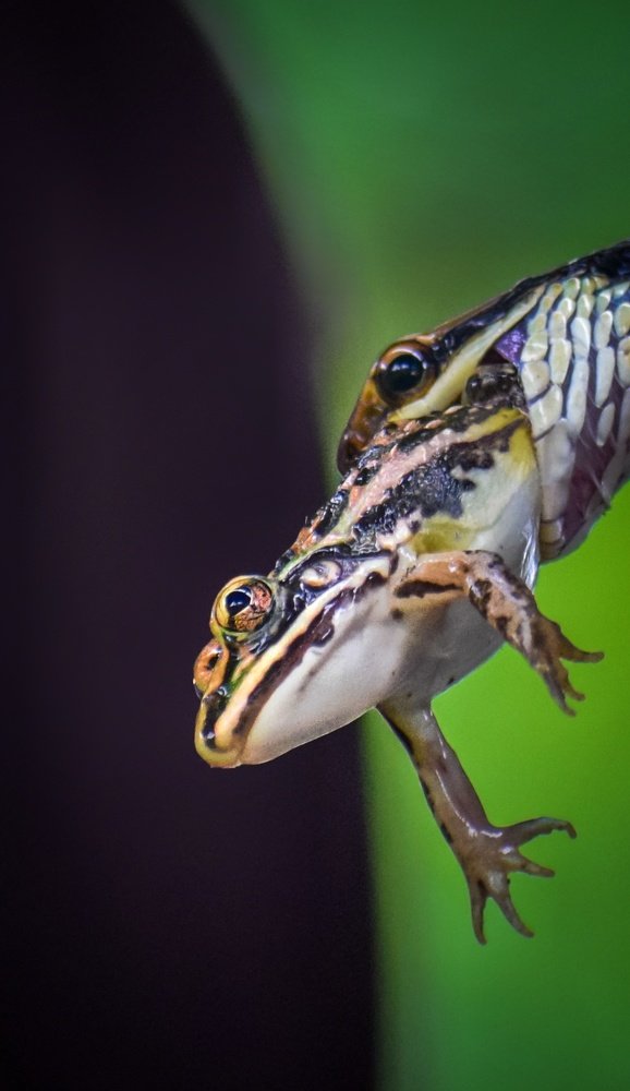 Last moment of death