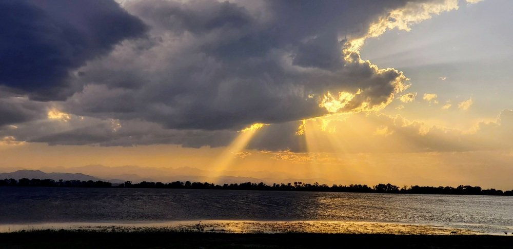 Photo #5358836