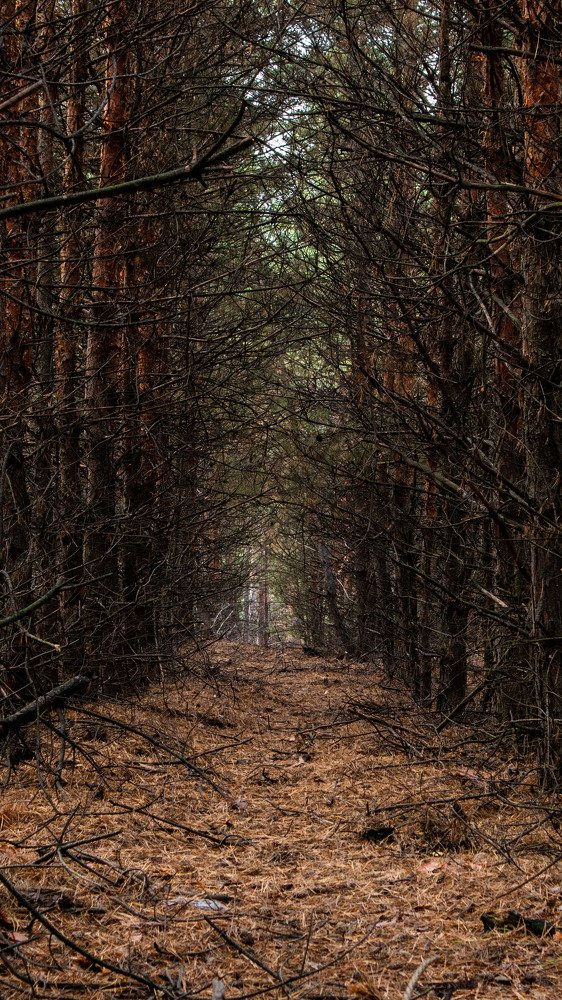 Photograph by Татьяна Маринич