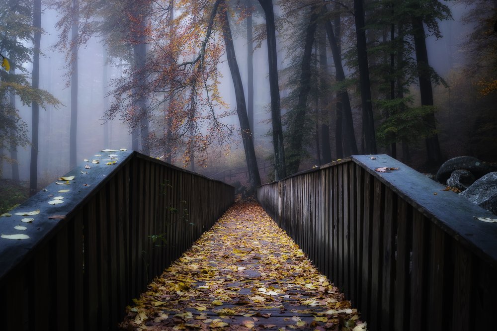 Photograph by Сергей Швандт