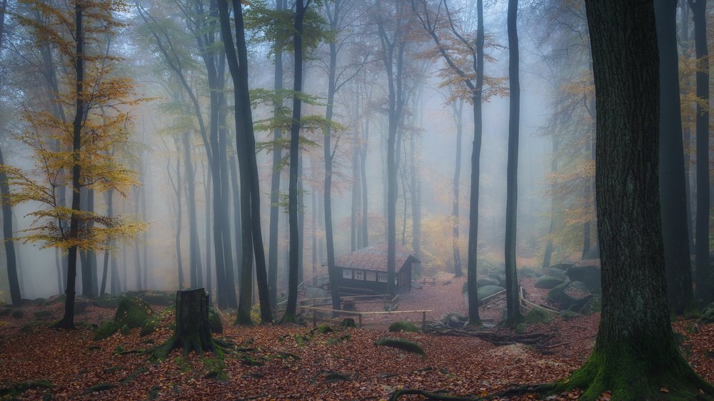 Photograph by Сергей Швандт