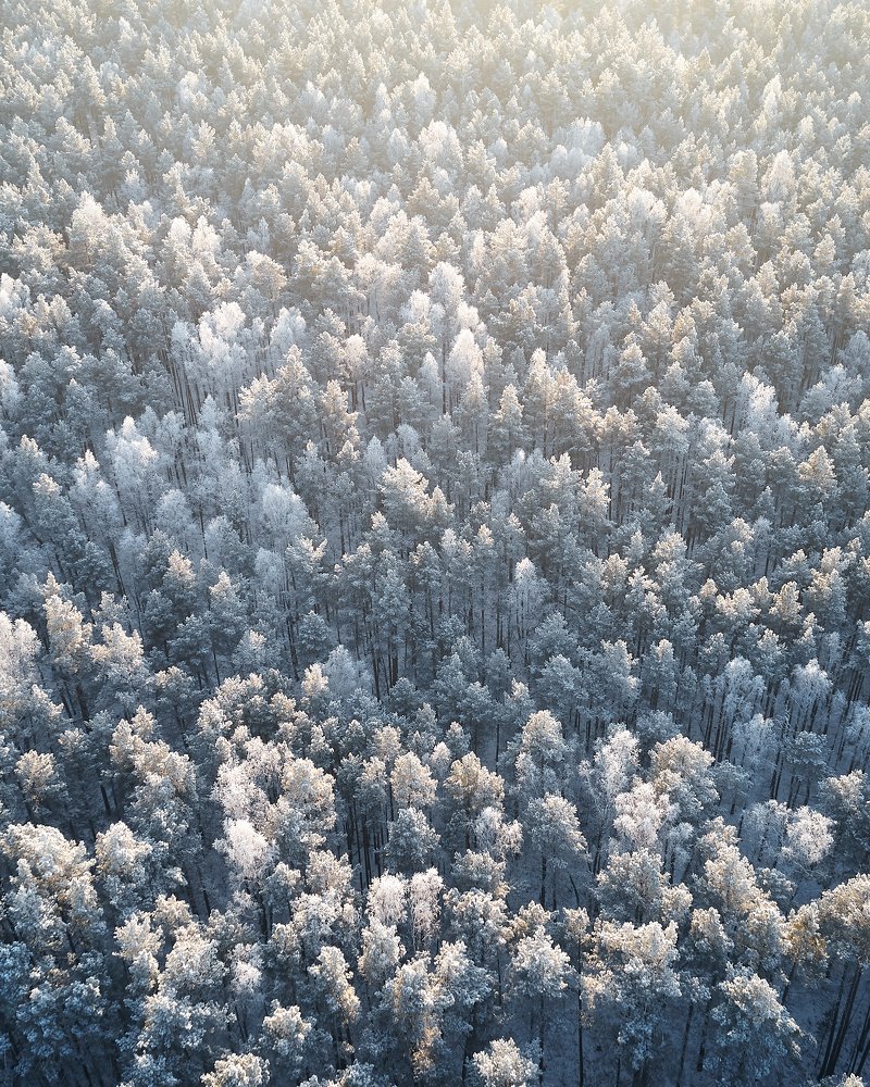 Photograph by Ivan Mart