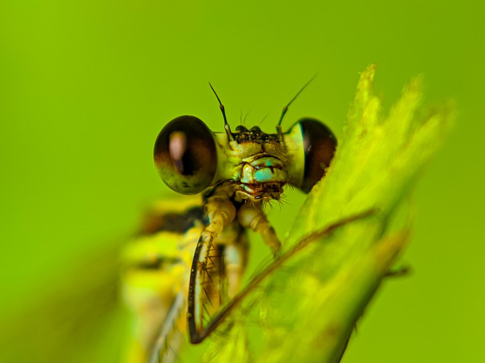 Photograph by Tanvir Ahmed Tanvir