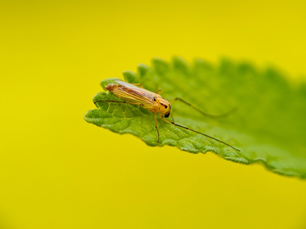 Photograph by Tanvir Ahmed Tanvir