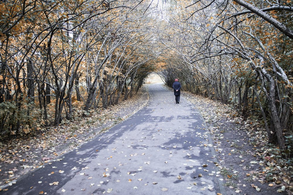 Уходящая осень.
