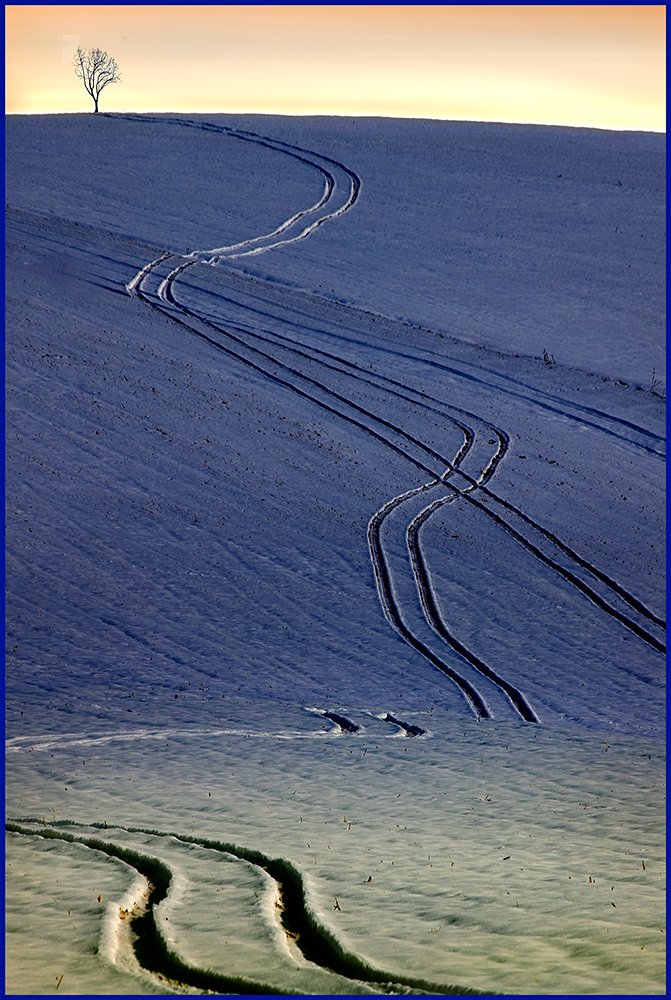 Photograph by Mladen Milanov