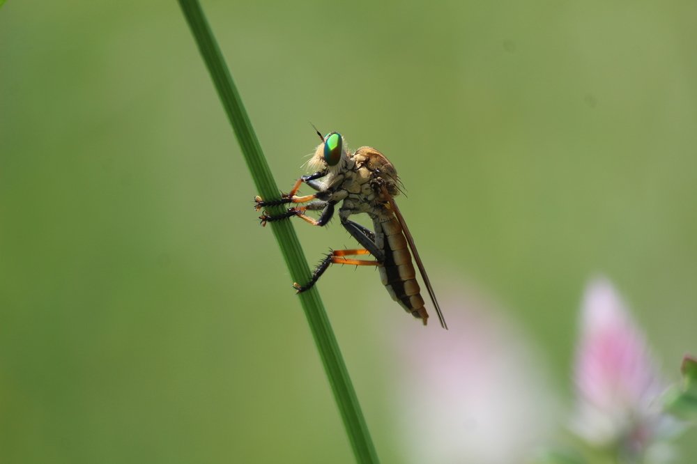 Фотография автора Vivek Tavate