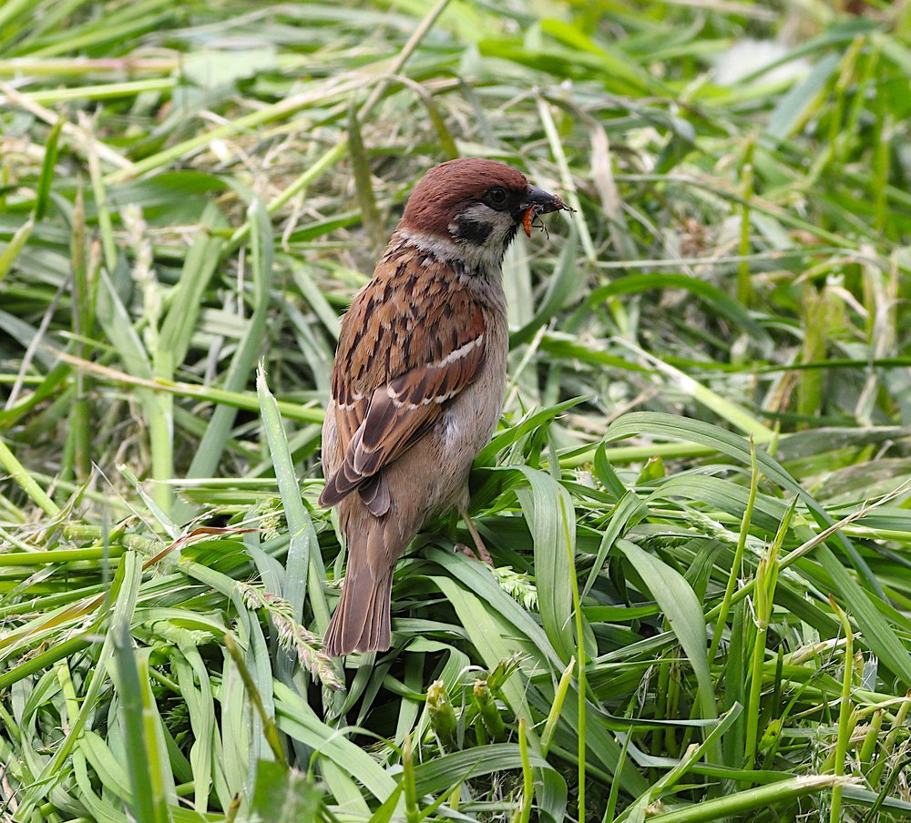 Photograph by Алексей Герасимов