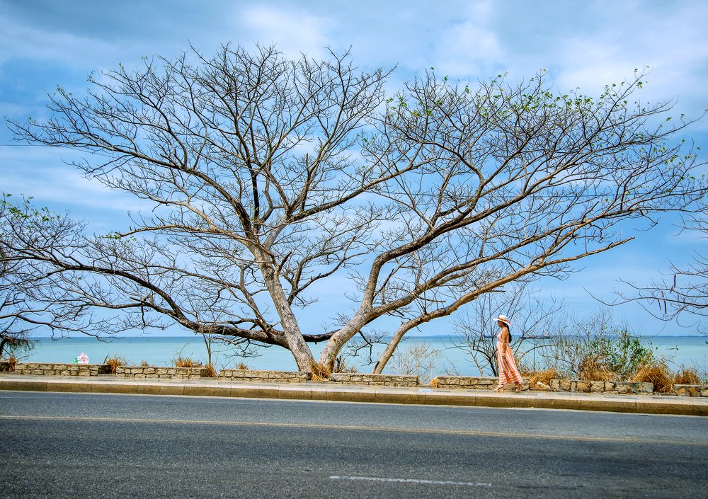 Thu đã về trên biển