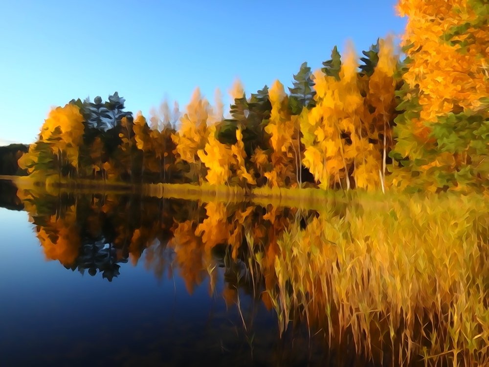 Photograph by Елена Силантьева