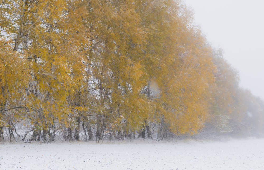 Photograph by Виктор Зотов