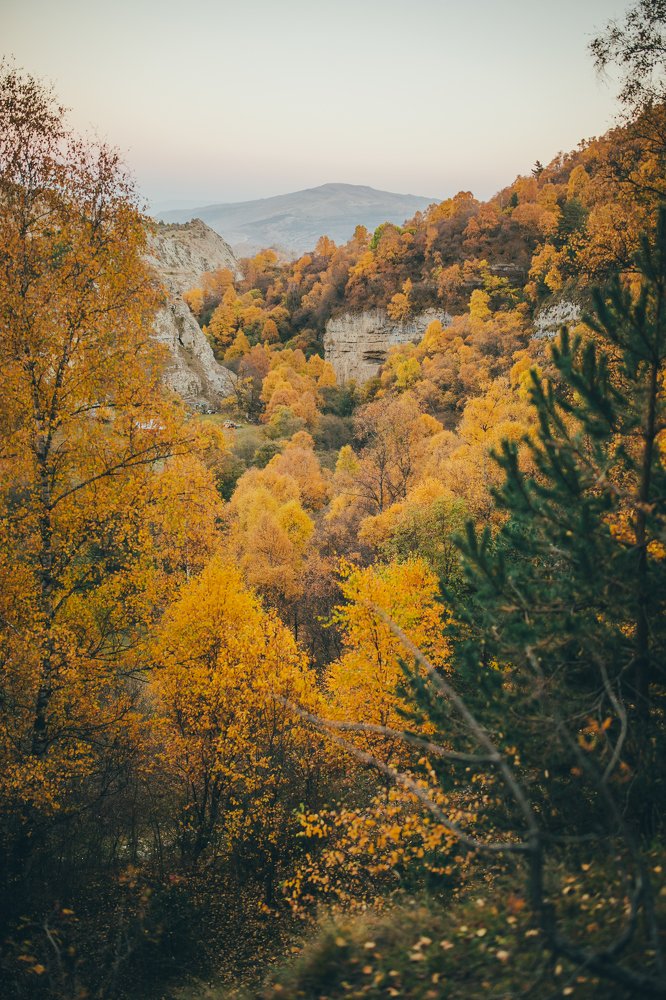 Photograph by Яна