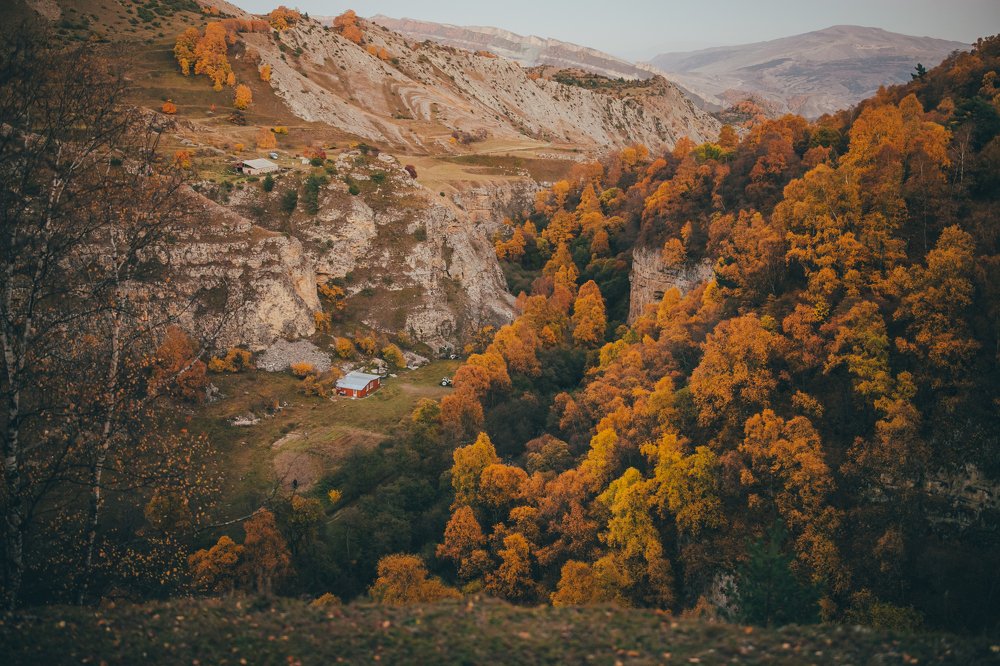 Photograph by Яна