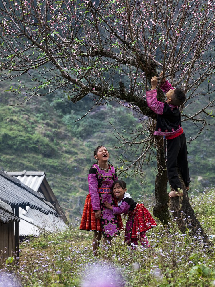 Photograph by Viet Nguyen Ho
