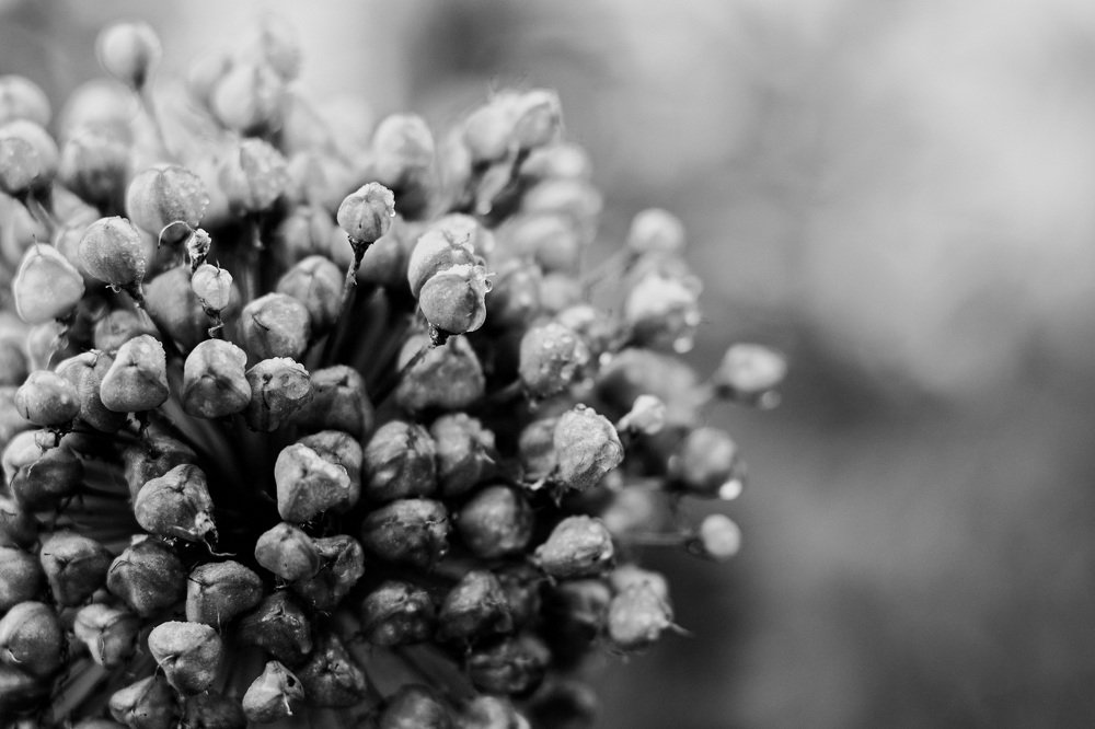 Photograph by Анастасия Макеева