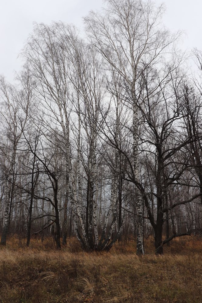 Photograph by Наталья Лыкова